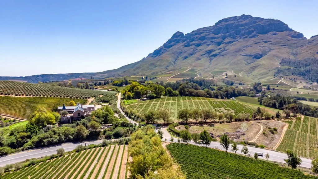 Unforgettable Wine and Culinary Tours